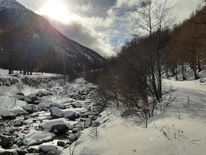 Apartment Alpin Smile by Interhome