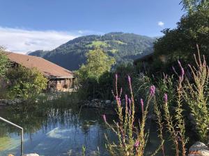 Apartment Strubeli by Interhome