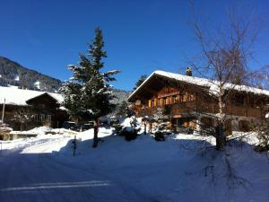 Apartment Strubeli by Interhome