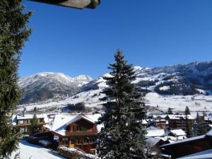 Apartment Kristall by Interhome