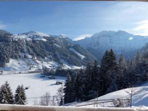 Apartment Strubelblick EG by Interhome