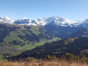 Apartment Chalet Flƶschhorn by Interhome