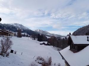 Apartment Crocus by Interhome