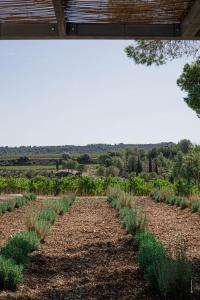 B&B / Chambres d'hotes Les Villas du Chateau de Lastours : photos des chambres
