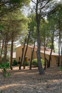 B&B / Chambres d'hotes Les Villas du Chateau de Lastours : Villa Supérieure