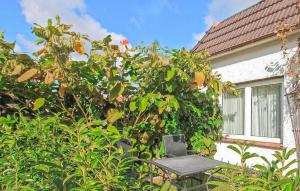 Gorgeous Home In Waren Müritz