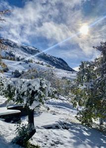 Chalets Le Flocon Grand Chalet 4 etoiles : photos des chambres