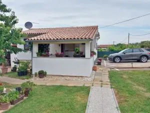 Cozy Family Apartment Aleksandar - Škatari