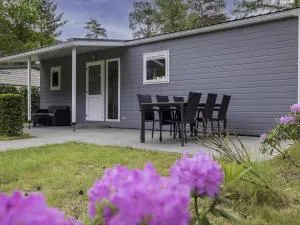 Easy Chalet - Hapert