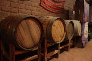 Las Jarillas de Guandacol