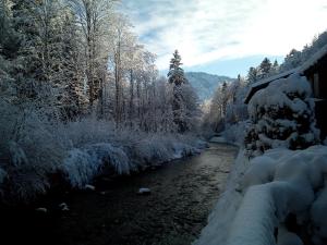 Ferienwohnung Kaidisch - Reiter inkl. Chiemgaukarte