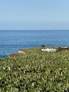 Rooftop Casa El Banco