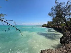 Nyumba kuku - 乌罗阿