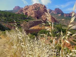 Maisons de vacances Stunning Provencal 3BD Villa in Montauroux : photos des chambres