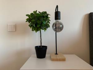 Cosy studio apartment at the Oulu city center