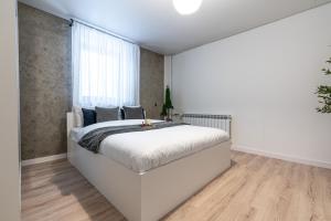 Apartamenty Świerkowy Las