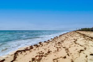 The Ocean Breeze Retreat