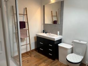 Beau Grand T2 Duplex avec du Cachet Centre Ville