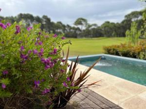 Carilo para 10, frente al golf con Pileta Climatizada!