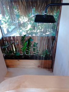 Villa Queridoro Mahahual