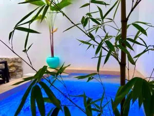 EXCELENTE ALBERCA PRIVADA EN RESIDENCIAL PRIVADO, ASADOR, Jardin - El Naranjo