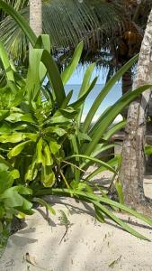 Villa Queridoro Mahahual