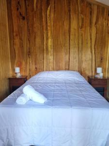 Cabaña Antü küyen Melipeuco