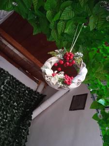 Oracolo Di Delfi