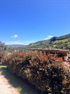 El Dorado Refugio Muisca