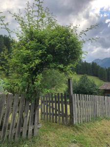 Zirkenhof