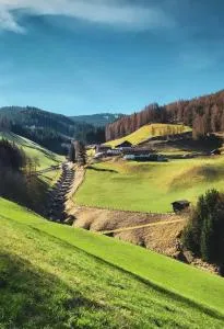 Zirkenhof - Matreiwald