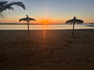 Laguna del mar arrecife