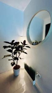 BEAUTIFUL and SPACIOUS 2 REAL BEDROOMS 2 BATHROOMS IN BGC GLOBAL CITY