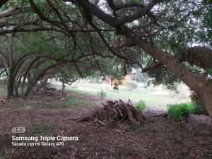 Mar del Plata- Playa Chapadmalal- Finca Viento Norte UNA CABAÑA HASTA 5 HUESPEDES Y UN DORMI CON BAÑO PRIVADO ATRAS HASTA 2 HUESPEDES