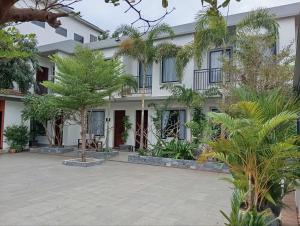 Apartment Green Amazon