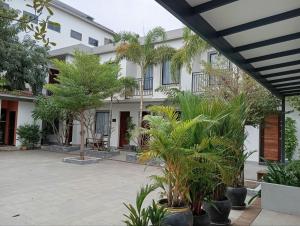 Apartment Green Amazon