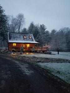 Cozy Cabin By the Slopes