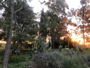 Viento Potro Casa Quinta de Campo