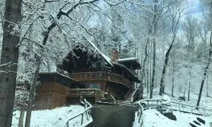 Bears Lair cabin Chalet - 丹德里奇