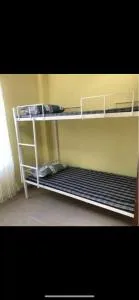 COLIVE paying guest - Димапур