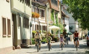 Altstadthotel Marktheidenfeld