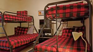 Topflite 15 Extended