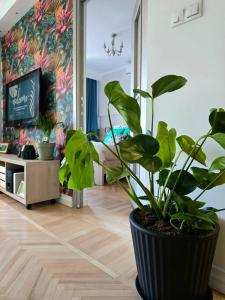 Green Leaf By Sattal