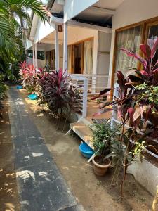 Royal Castle Resort palolem, canacona