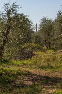 Podere Piazza Casa dellArcivescovo