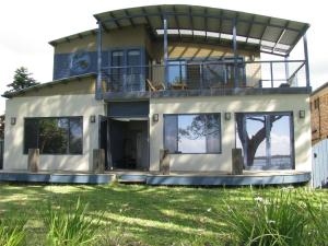 Beachfront Seagulls on Shoalhaven