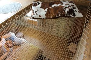 B&B / Chambres d'hotes Le Petit Begou : photos des chambres