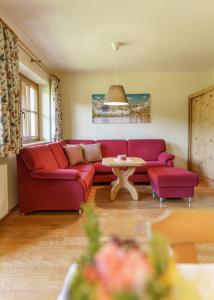 Landhaus Birgbichler - Apartments in Ramsau am Dachstein - Schladming Dachstein