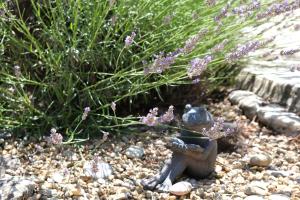 Villas Very pleasant vacation rental with heated pool in the Luberon : photos des chambres