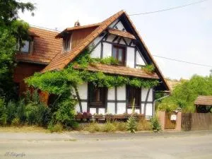 Maison Fleurie - Oberbetschdorf
